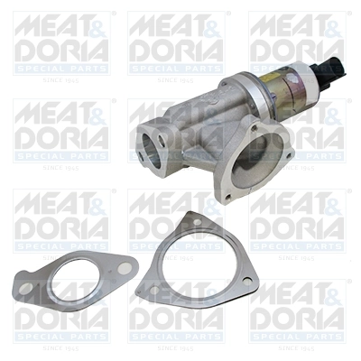 EGR Valve